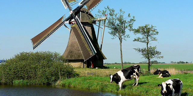 Cultural Netherlands