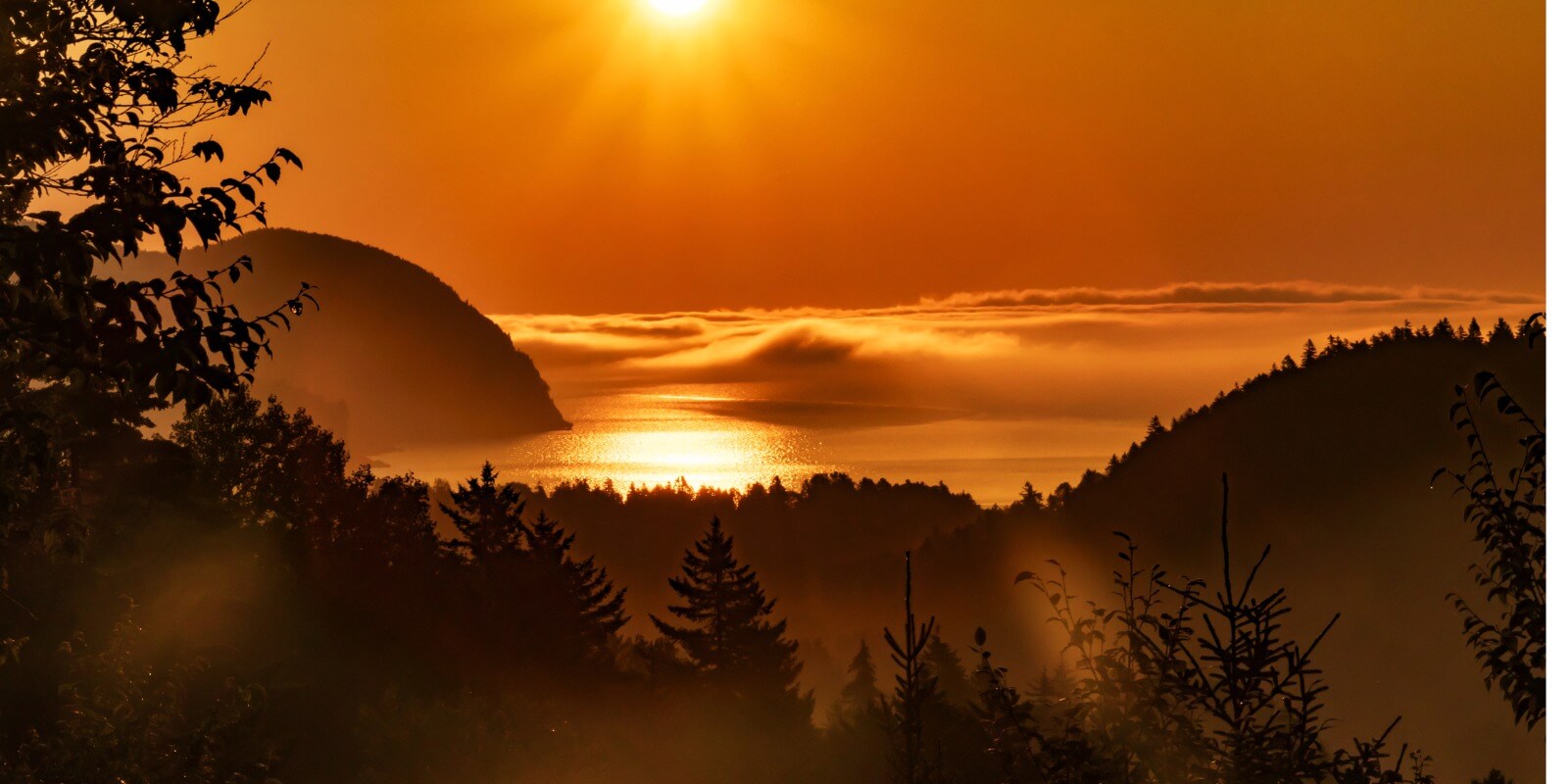 A beautiful sunrise in Fundy national park New Brunswick 