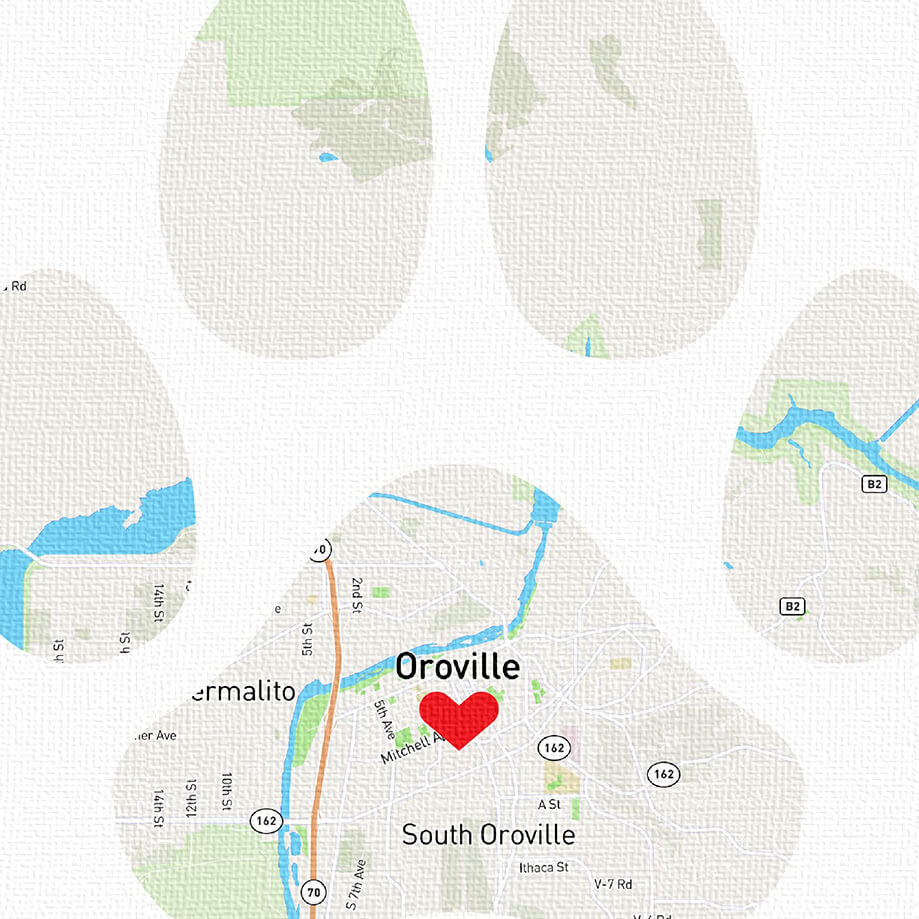 Closeup of Canvas Texture on Dog Paw Print Family Map Art