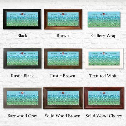 Colorado 14ers Teal Color Scheme Shown in Standard Frame Options