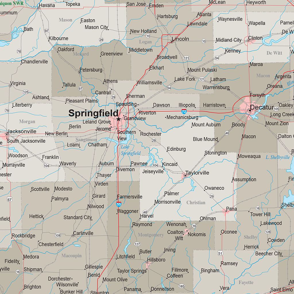 Earth Toned Illinois State Map closeup