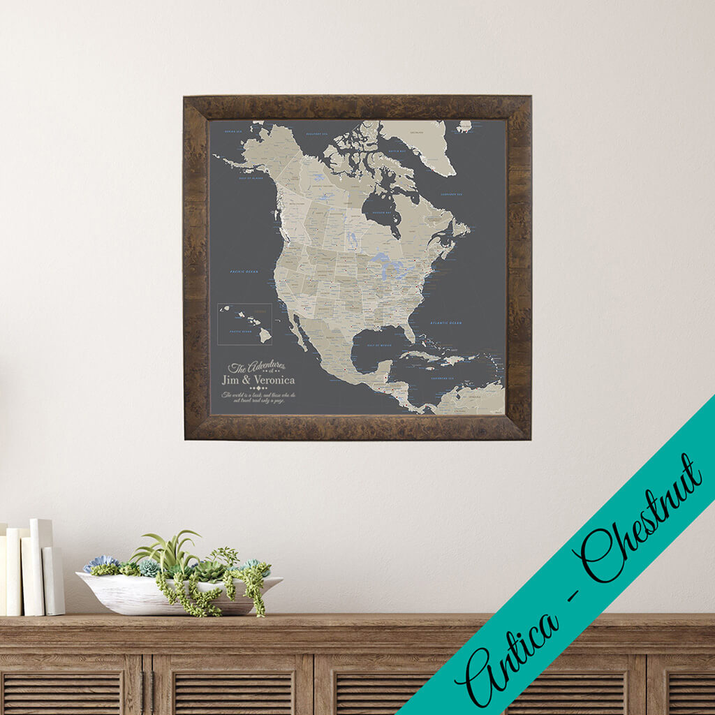 Canvas - Earth Toned North America Travel Map with Pins